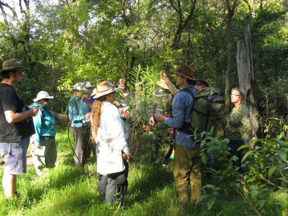 Yaralla Bushcare Group