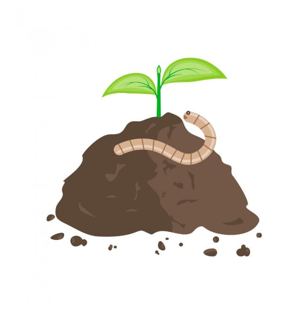 Wonderful World of Worms for Kids