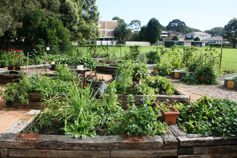 Concord Community Garden Open Day
