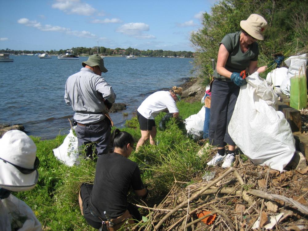 Sisters Bay Bush Regeneration Group