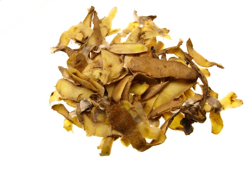 Introduction to composting