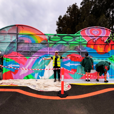 New mural adds vibrancy to Majors Bay Reserve