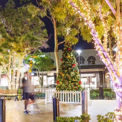 Christmas in Canada Bay