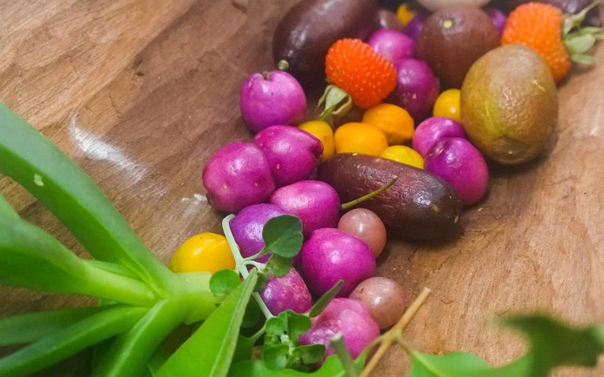 NAIDOC Week: Bush Cooking with Koori Kinnections (Ages 13-18)