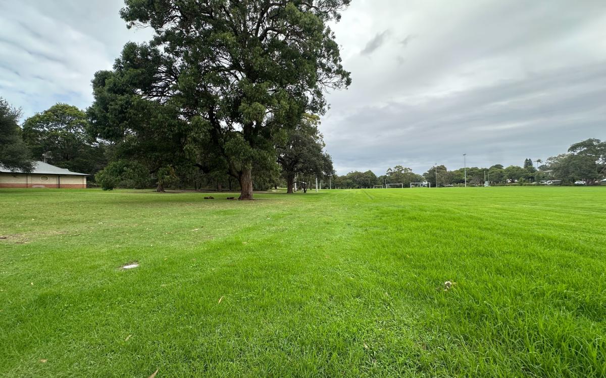 Queen Elizabeth and Goddard Park Precinct Masterplan