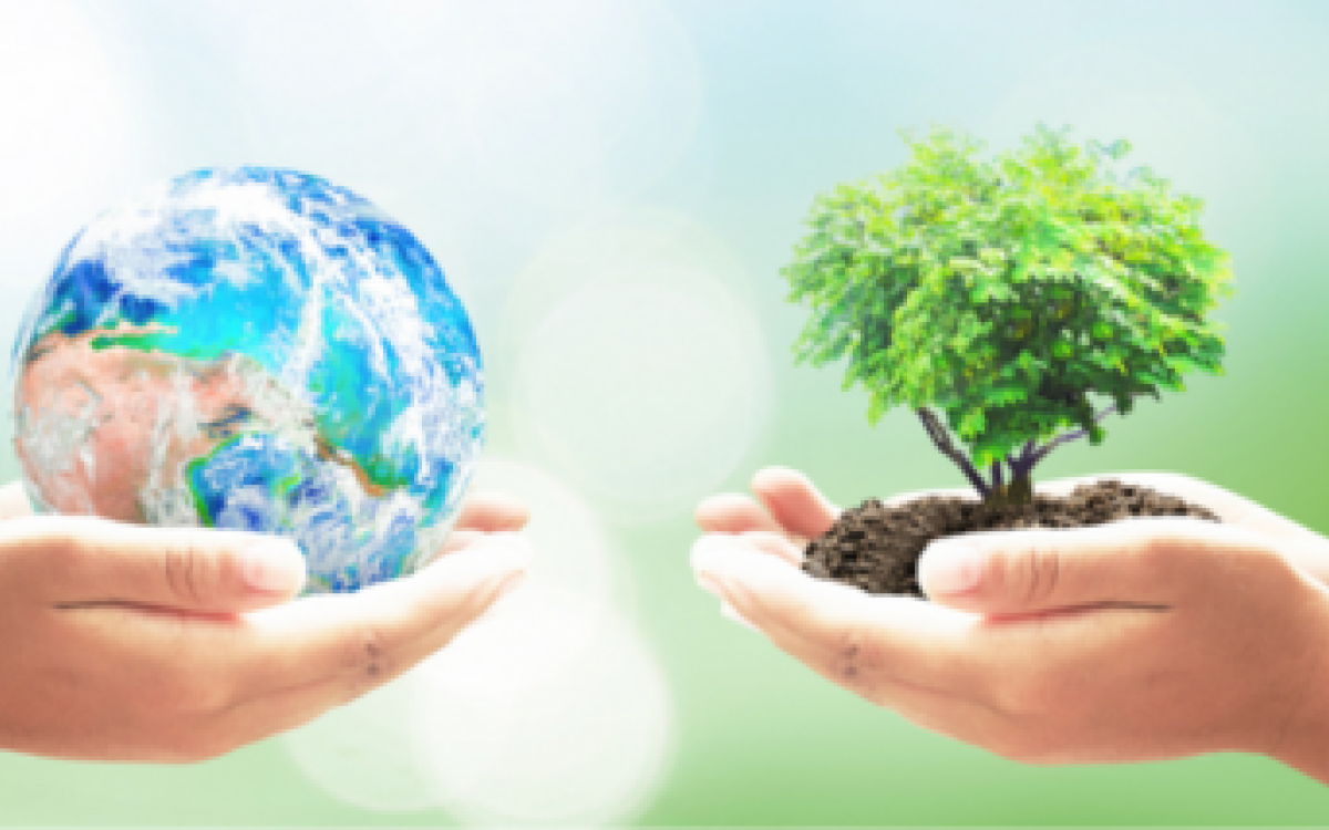 Exhibition: Speaking 4 the Planet