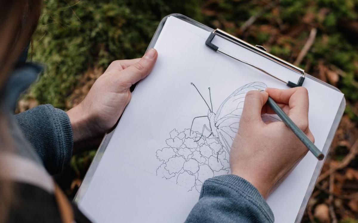 National Tree Day Art Workshops