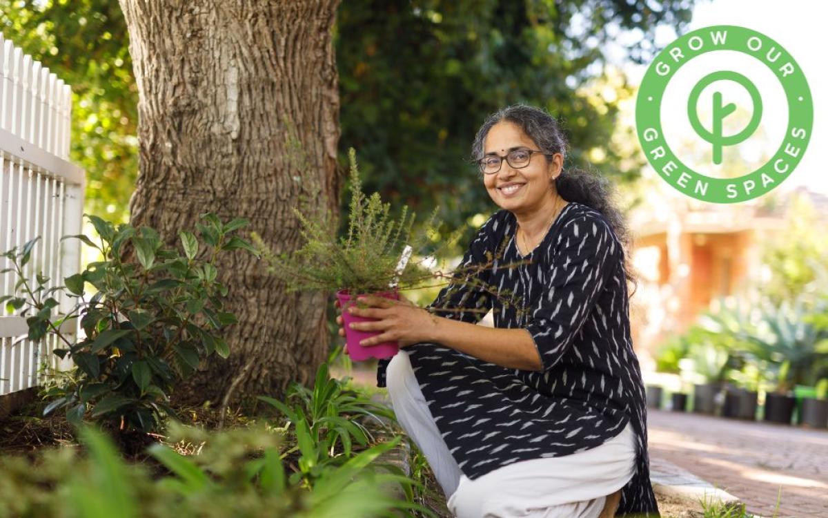 Grow Our Green Spaces: Free Plant Giveaway to Launch New Community Program