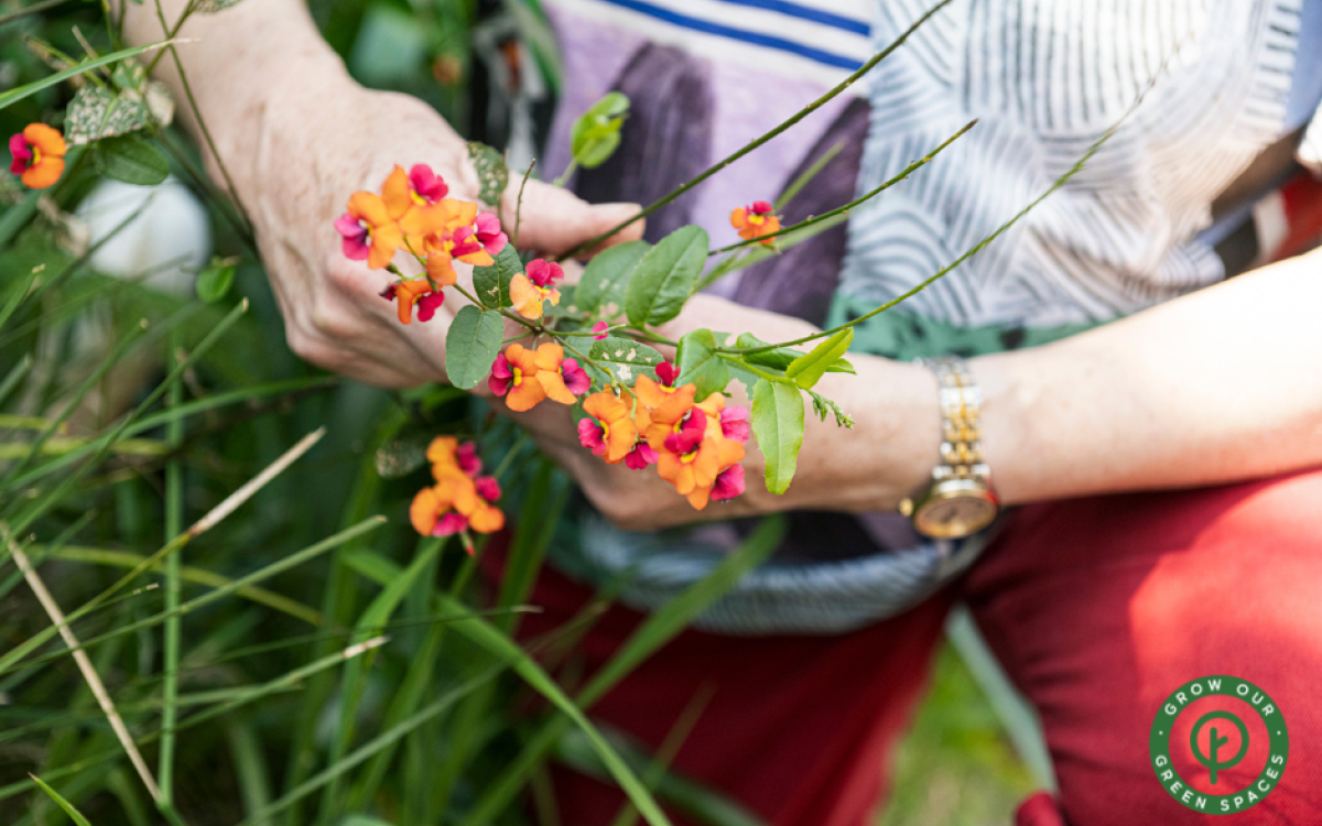 Right Plant, Right Place: Greening Your Space with Natives