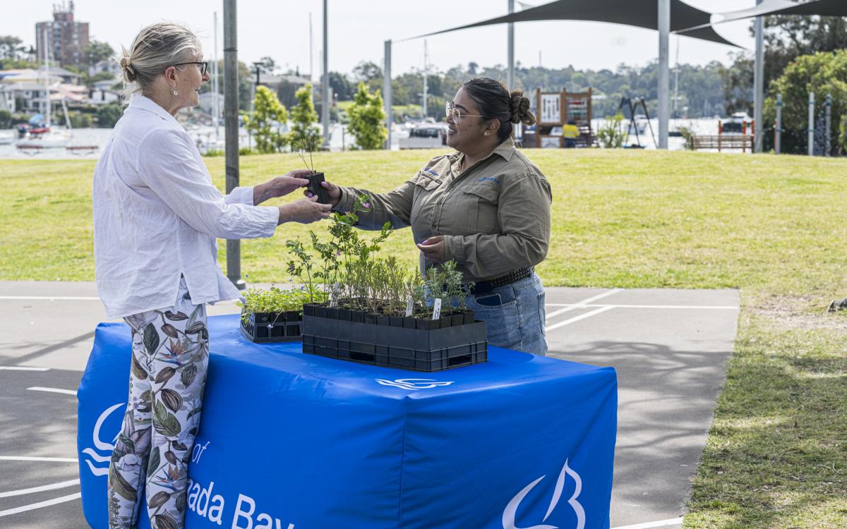 Grow Our Green Spaces: Christmas Plant Giveaway